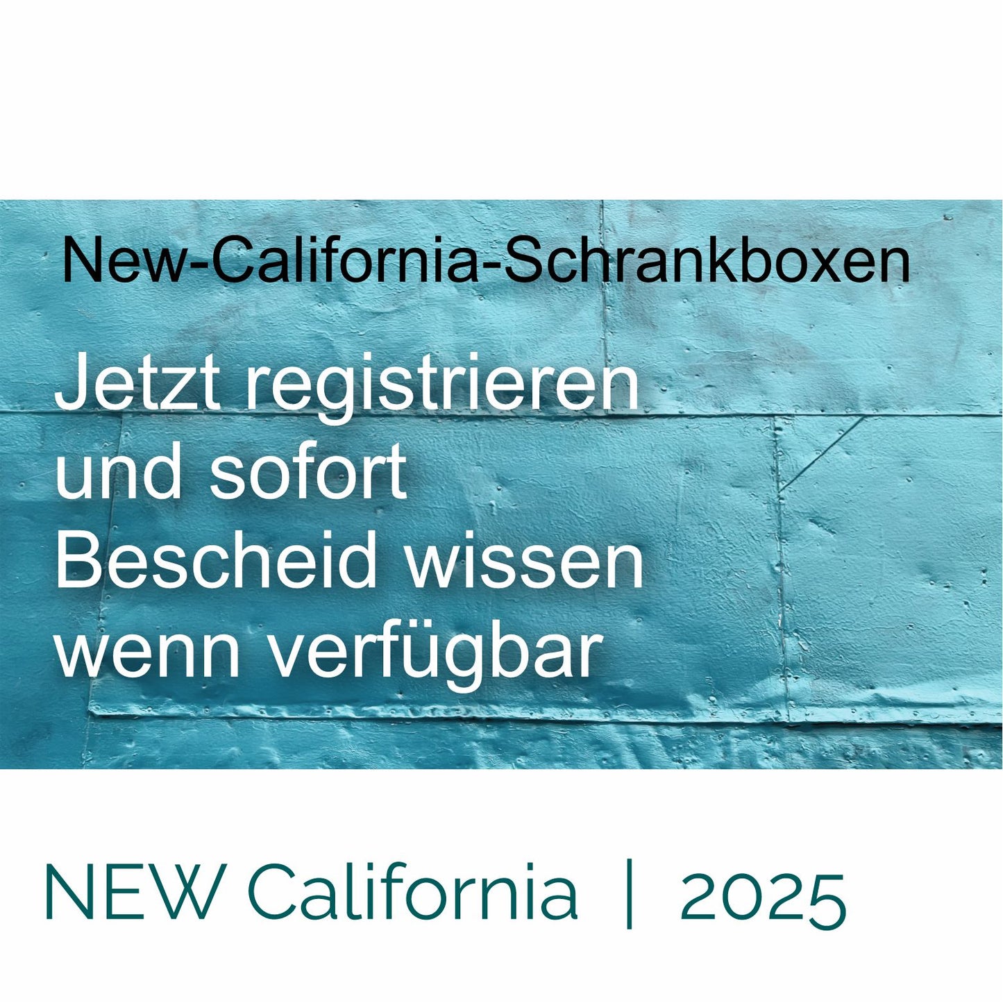 Schrankboxen / VW NEW California Modell 2025